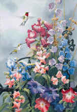 Victorian Seasons-Summer