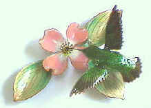 Hummingbird on Dogwood