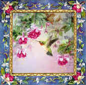 Anna's Hummingbird with Fuchsia